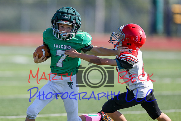 Bellin 10052024-56