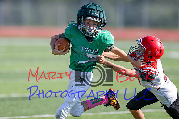 Bellin 10052024-58