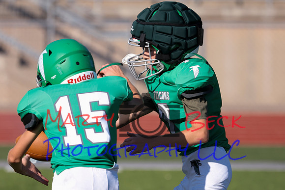 Bellin 10052024-5